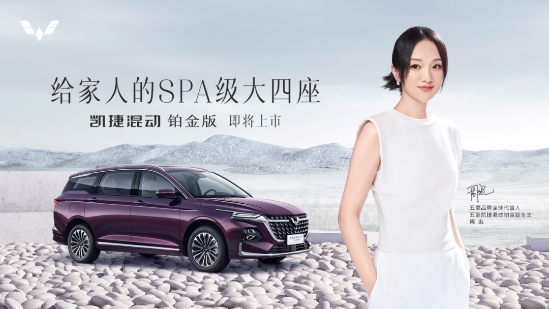 ���������������۷������޹�˾