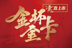 金海狮M中VAN(大面包)海口市火热促销中 让利高达0万