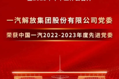 解放公司多个集体和个人荣获集团党委表彰！