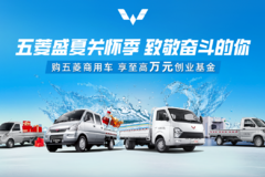 新卡双后轮 加长版至高享10000元补贴