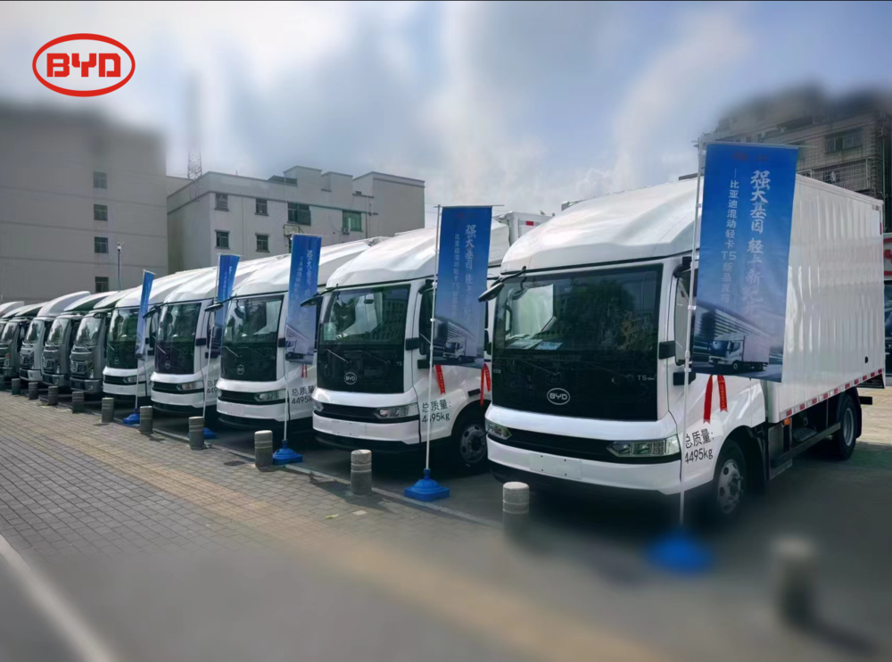 �����е��������������޹�˾