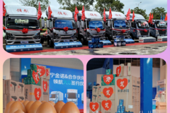 南宁燃擎上市·献礼母亲节 2小时抢订大G-36台，领航全系52台