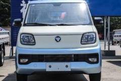 福田 祥菱Q分体式 基本型汽油 2.8米单排仓栅式微卡