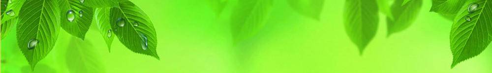 ����׿Զ�����������޹�˾