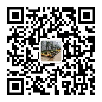 广东五线十轴低平板大件运输车，专业专注低平板大件车！欢迎选购低平板半挂车图片